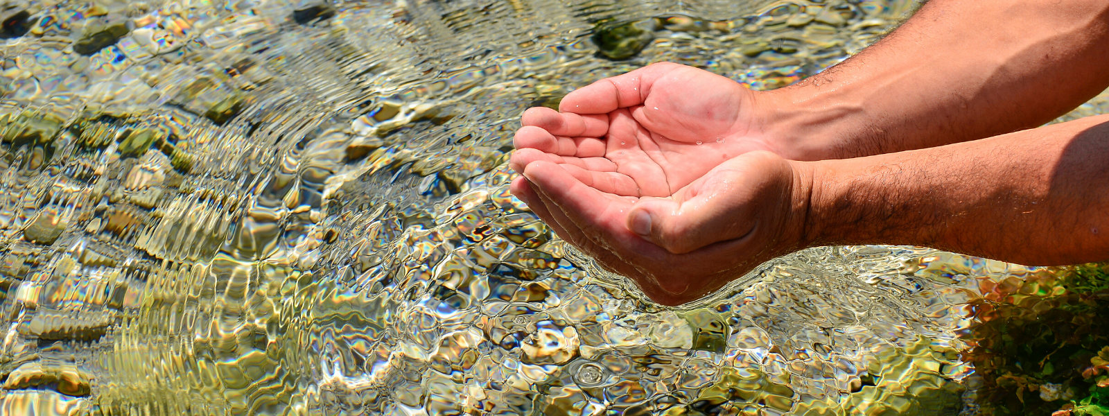 Warum Wasser trinken so wichtig ist und wie es dir gelingt Trinken in deinen Alltag zu integrieren