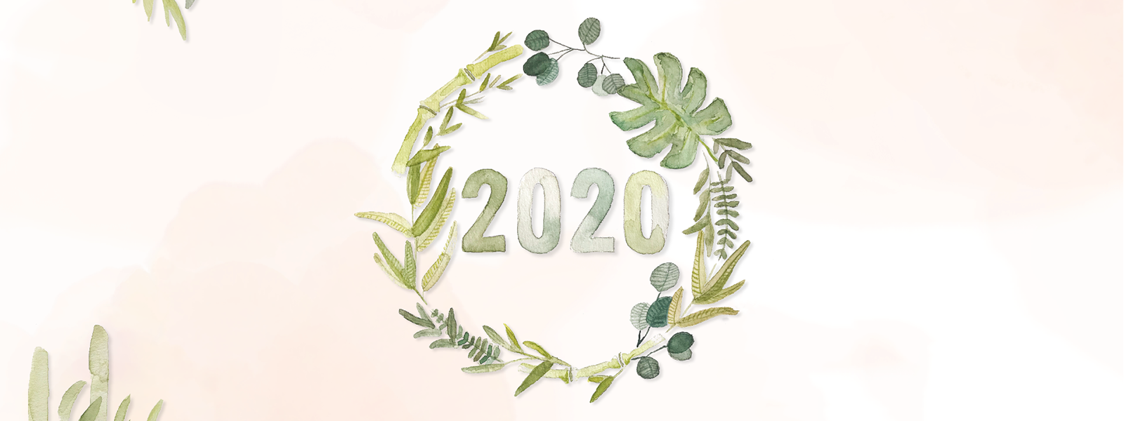 Einen pandastischen Start ins neue Jahr 2020!