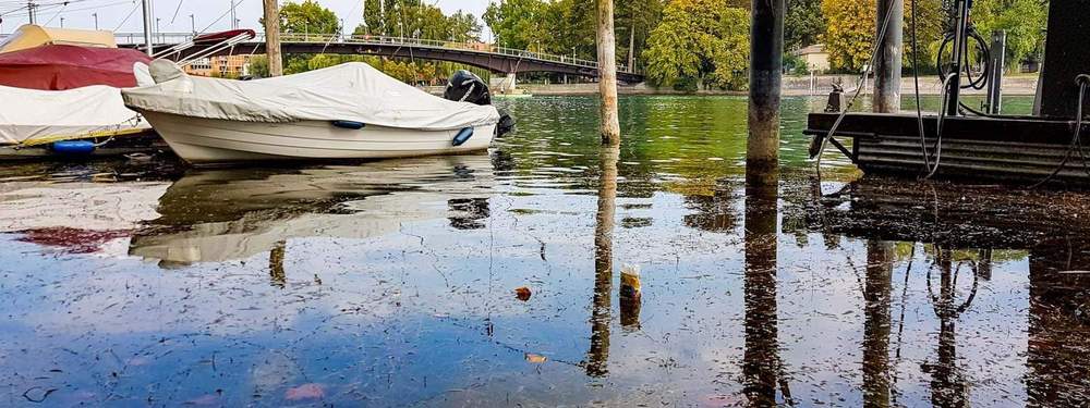 Rhine Clean Up Review 2020