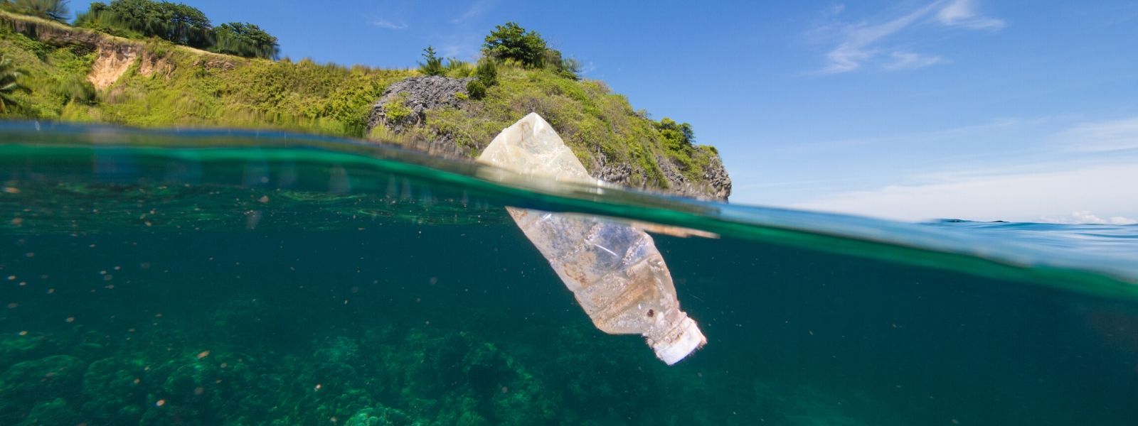 Plastikflasche plastikflaschen kaufen PET-Flasche Kunststoff Umwelt Recycling Basteln ungesund wiederverwenden hormone entsorgen