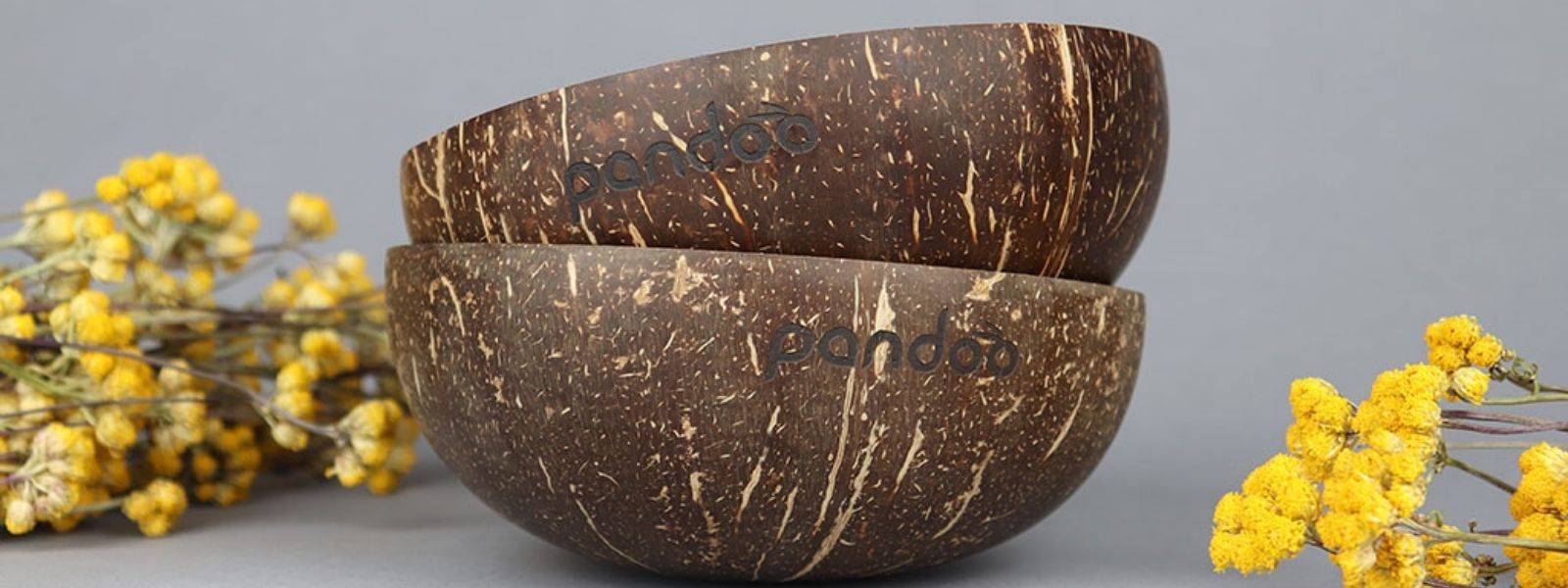 Upcycling: Coconut Bowls